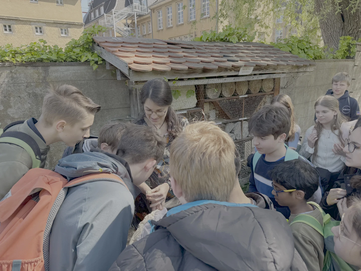 Wildbienen in den Botanischen Gärten