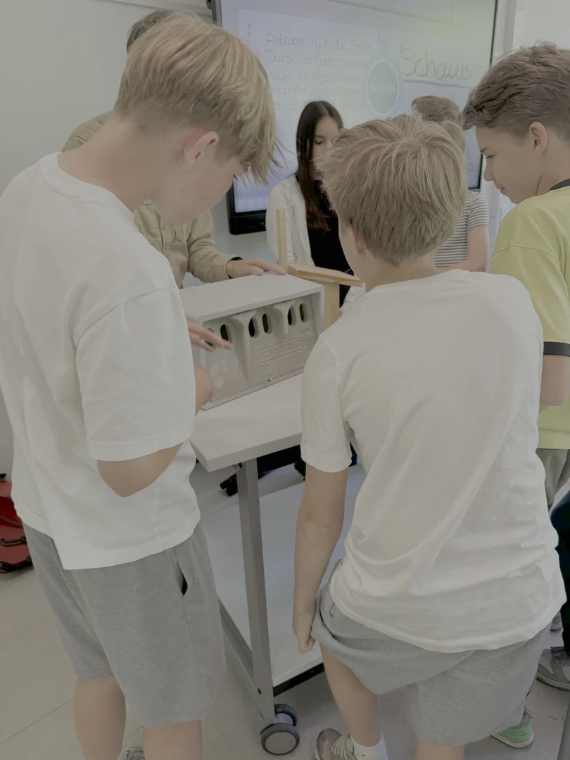 Die Initiative Gebäudebrüter am Gymnasium Alfter