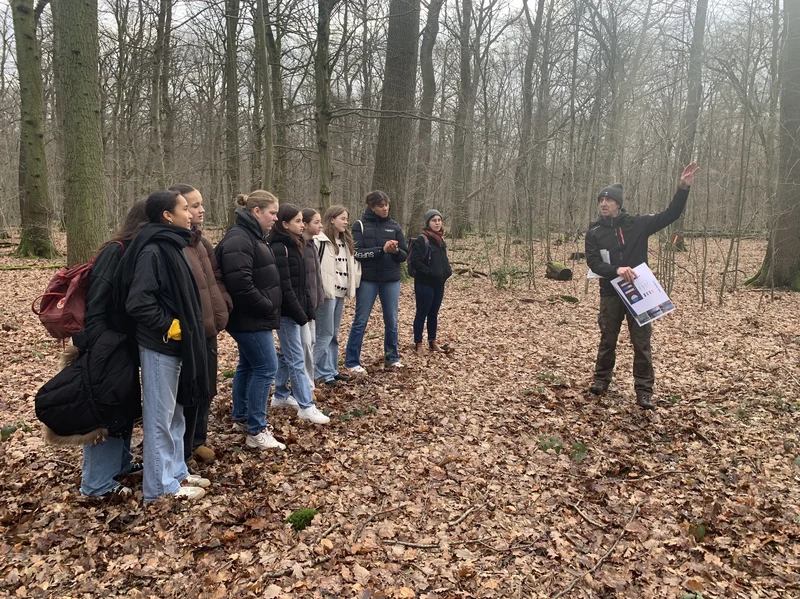 Waldbesuch
