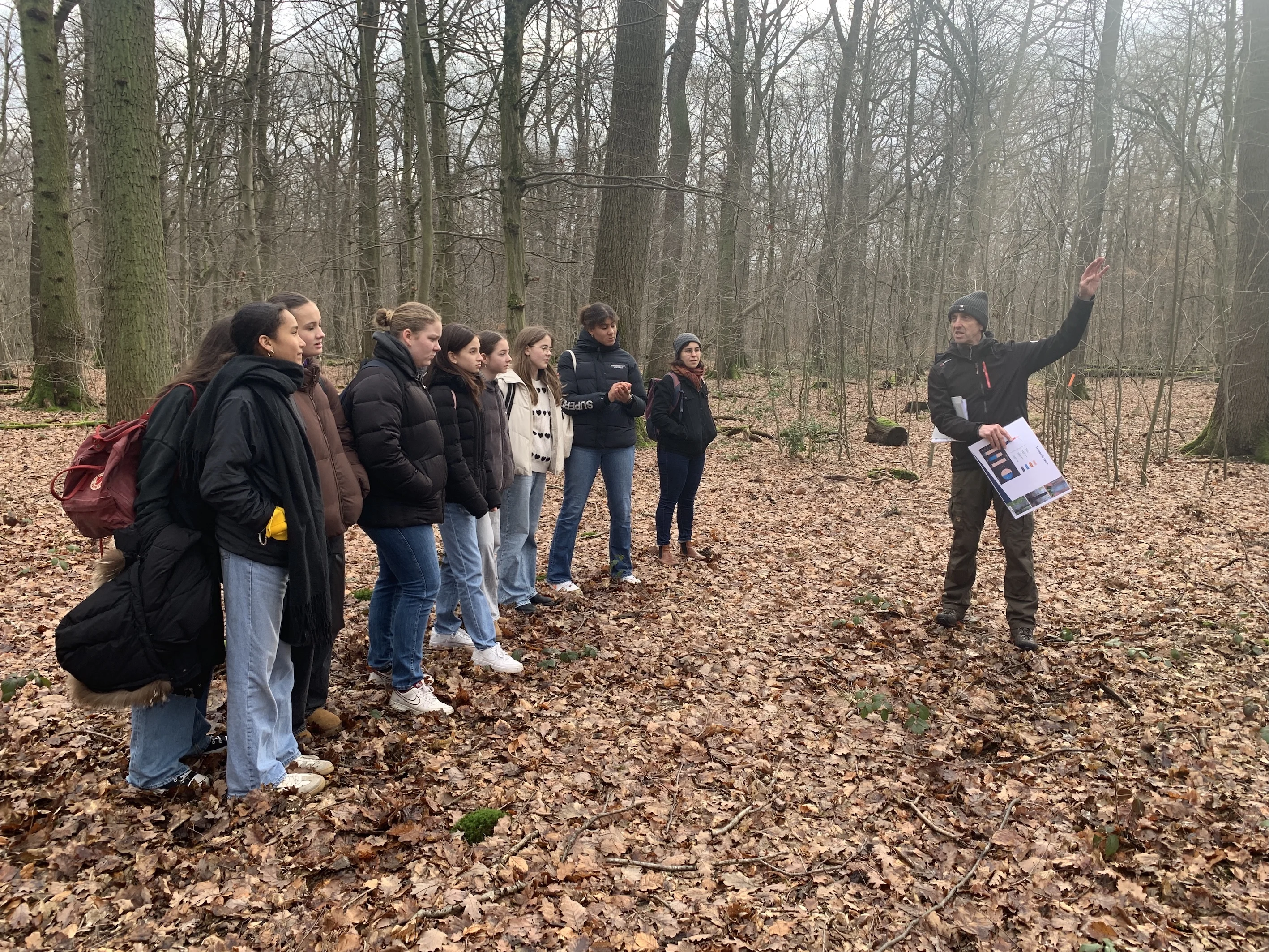 Waldbesuch