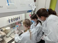 Institut für angeborene Immunität