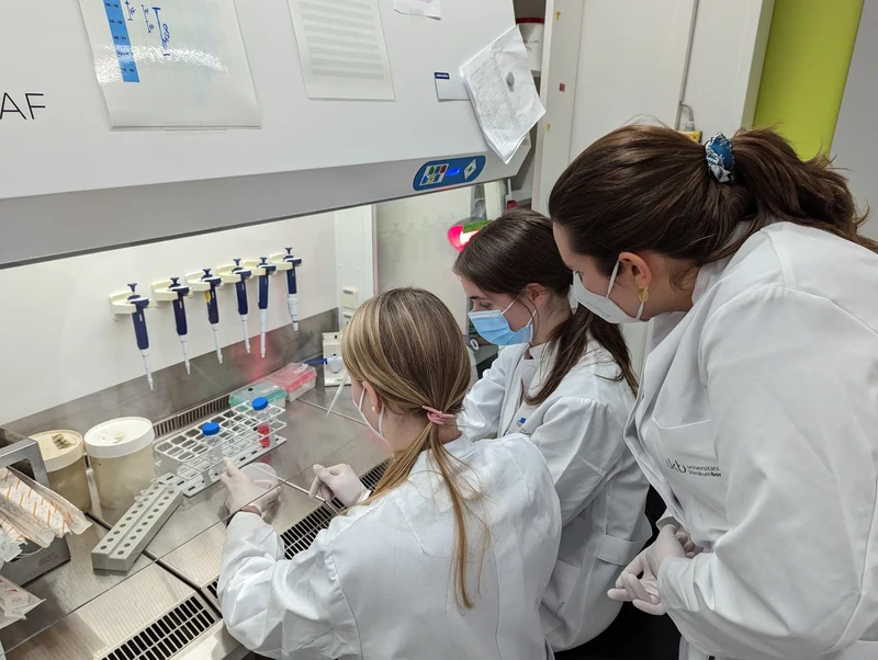 Institut für angeborene Immunität